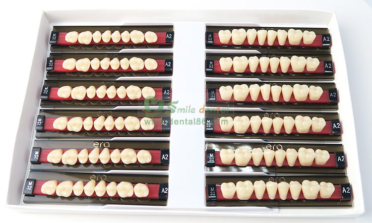 SDT-R102 Three Layer Acrylic Resin Teeth